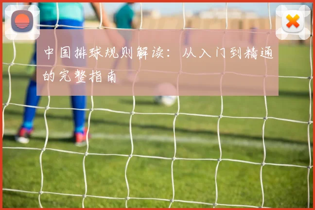 中国排球规则解读:从入门到精通的完整指南