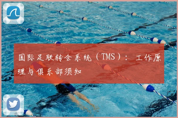 国际足联转会系统（TMS）：工作原理与俱乐部须知