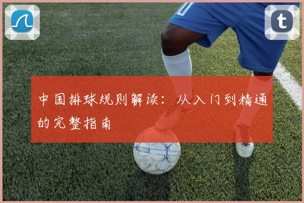 中国排球规则解读：从入门到精通的完整指南
